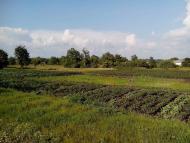 Хорішки з panoramio.com