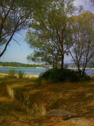 Тургенєвка - Останні фото