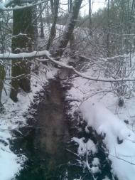 Пальчик з panoramio.com