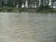 Гориця з panoramio.com