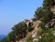 Гончарне з panoramio.com