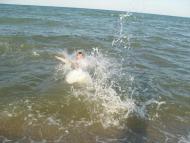 Стрілкове з panoramio.com (ч.2)