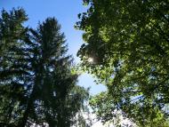 Малий Вистороп з panoramio.com