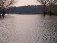 Кузьки - Останні фото