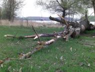 Матроська з panoramio.com