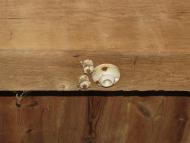 САРНІВСЬКИЙ МЛИН