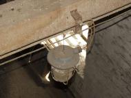 САРНІВСЬКИЙ МЛИН