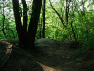 Тараканівський форт