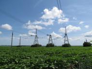 МАЛЬОВНИЧІ ОКОЛИЦІ