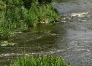 Млин, міні ГЕС