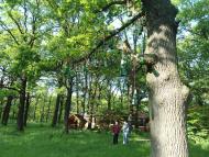 Потоки-Могилівка-Тартак