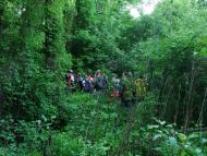 Тараканівський форт