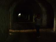 Тараканівський форт