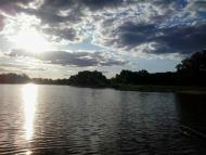 МУЗИЧАНСЬКЫ СТАВИ