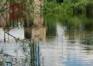 Млин, міні ГЕС