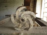 САРНІВСЬКИЙ МЛИН