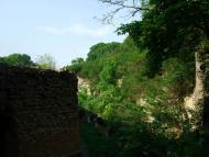 Тараканівський форт