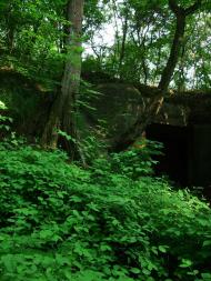 Тараканівський форт