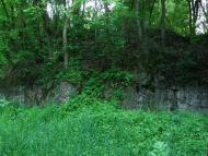 Тараканівський форт