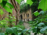 Тараканівський форт