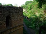 Тараканівський форт