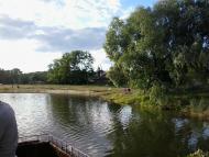 МУЗИЧАНСЬКЫ СТАВИ