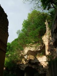 Тараканівський форт