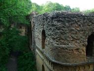 Тараканівський форт