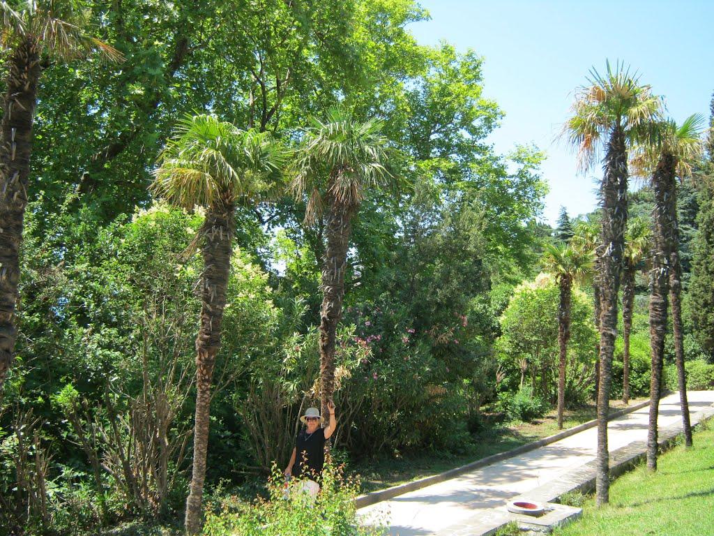 Алупка з panoramio.com (ч.3) - Алупка