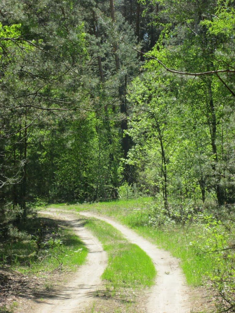 Жовтневе з panoramio.com - Жовтневе