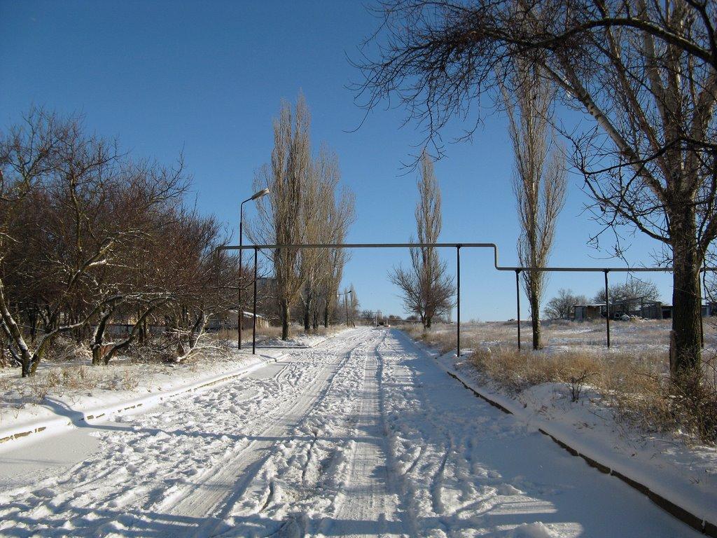 Шкільне з panoramio.com - Школьное