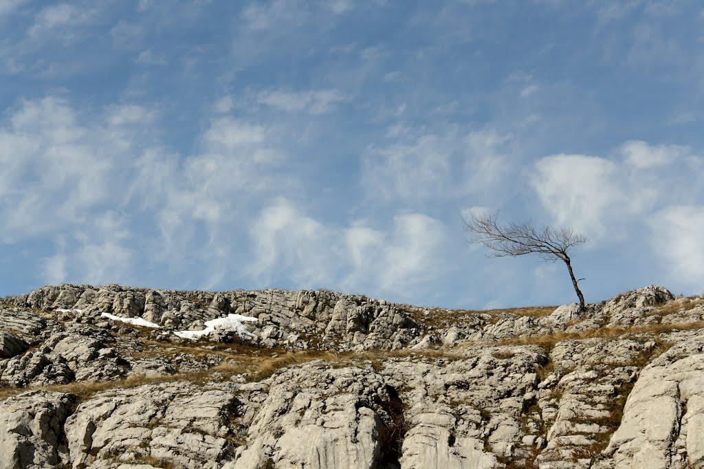 Лучисте з panoramio.com (ч.2) - Luchyste