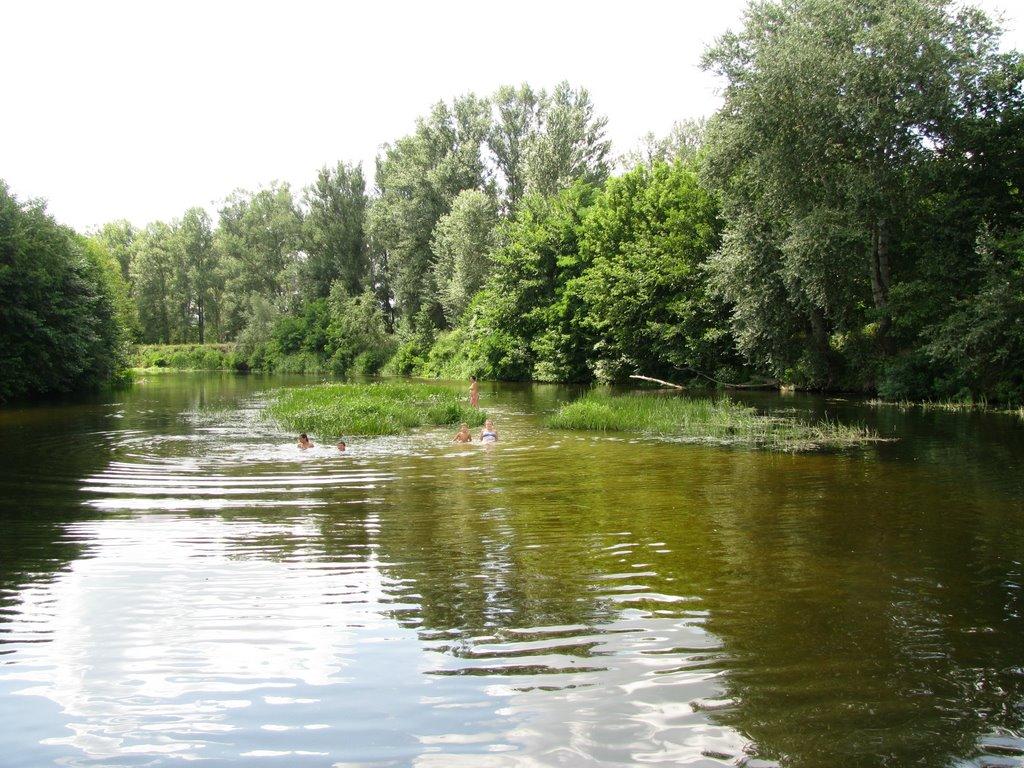 Гавронці з panoramio.com - Гавронці