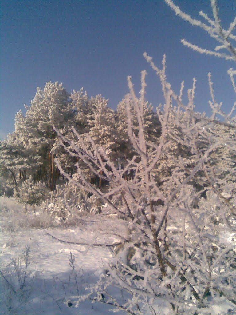 Пальчик з panoramio.com - Пальчик
