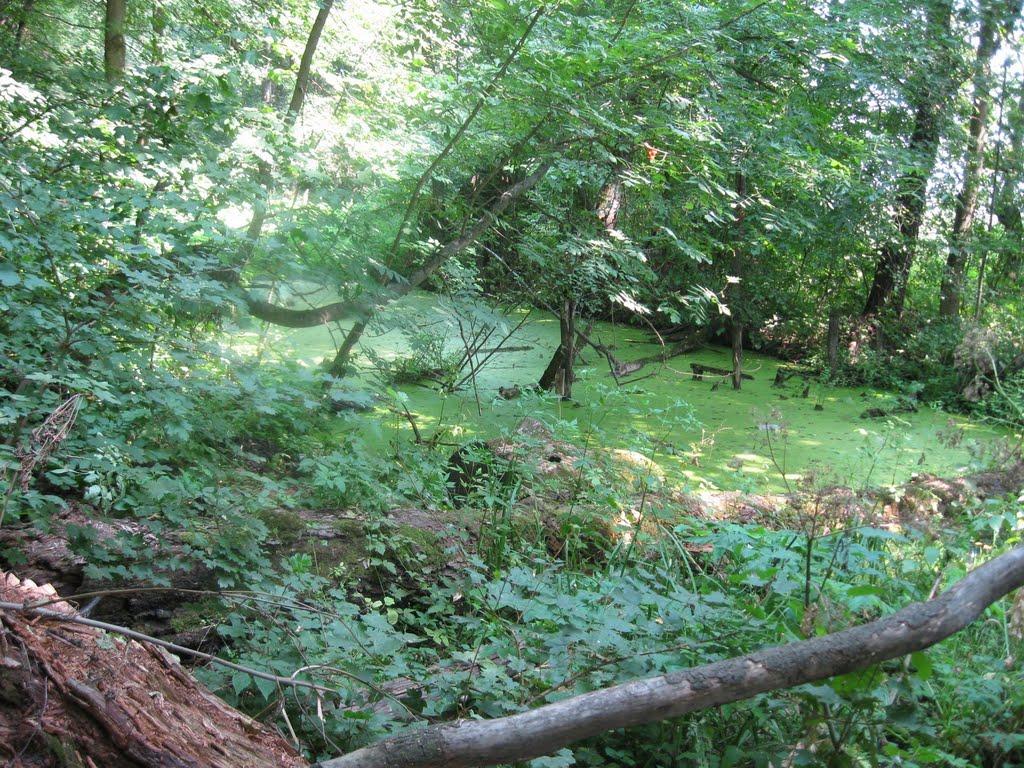 Мохнач з panoramio.com - Мохнач