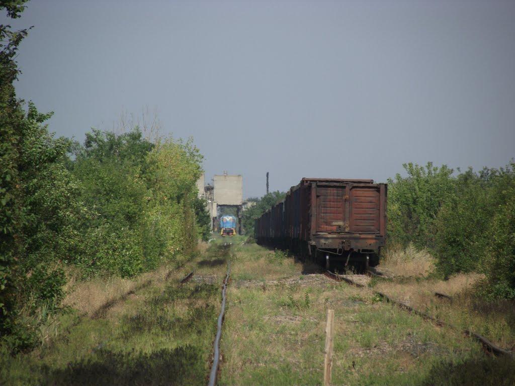 Старомар'ївка з panoramio.com - Старомарьевка