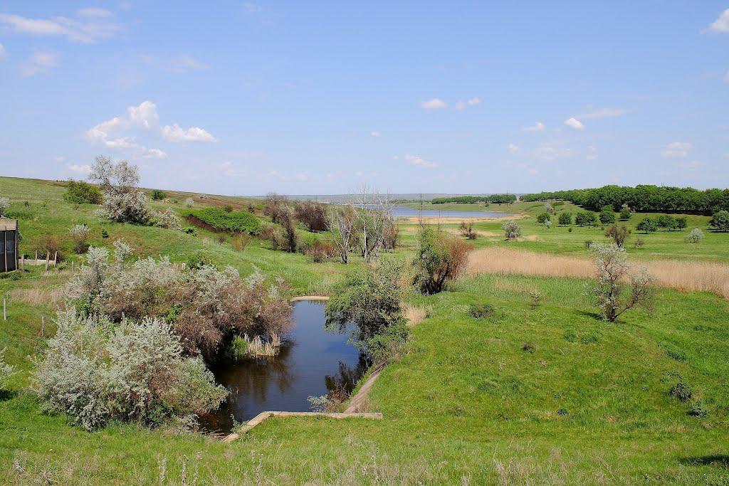 Артема з panoramio.com - Довга Балка