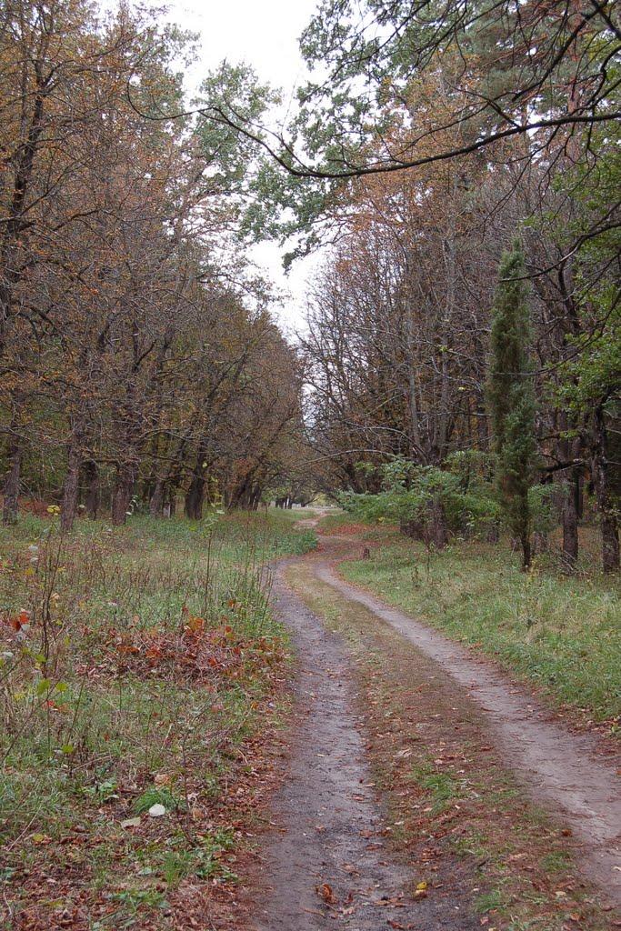 Сорокове з panoramio.com - Сорокове