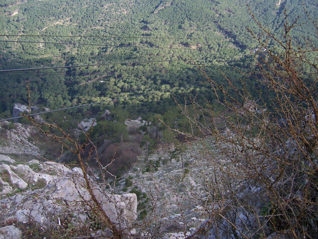 Охотниче з panoramio.com (ч.3) - Охотничее