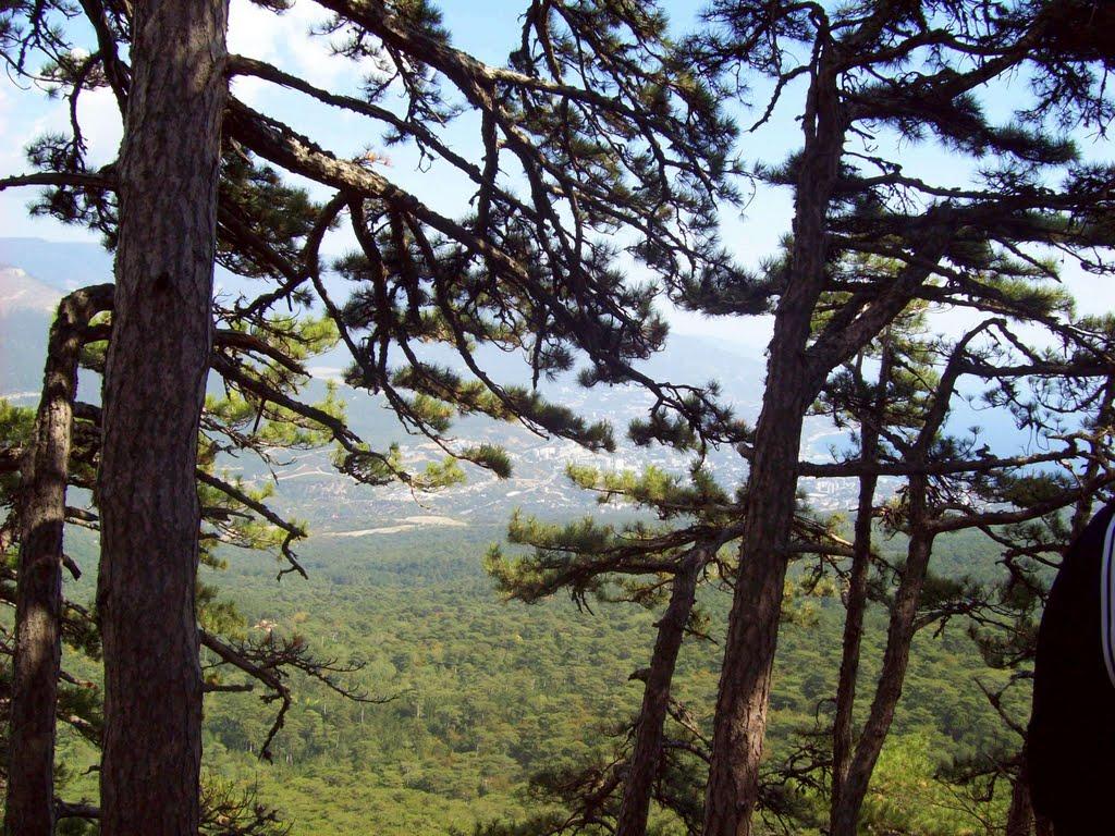 Високогірне з panoramio.com - Высокогорное