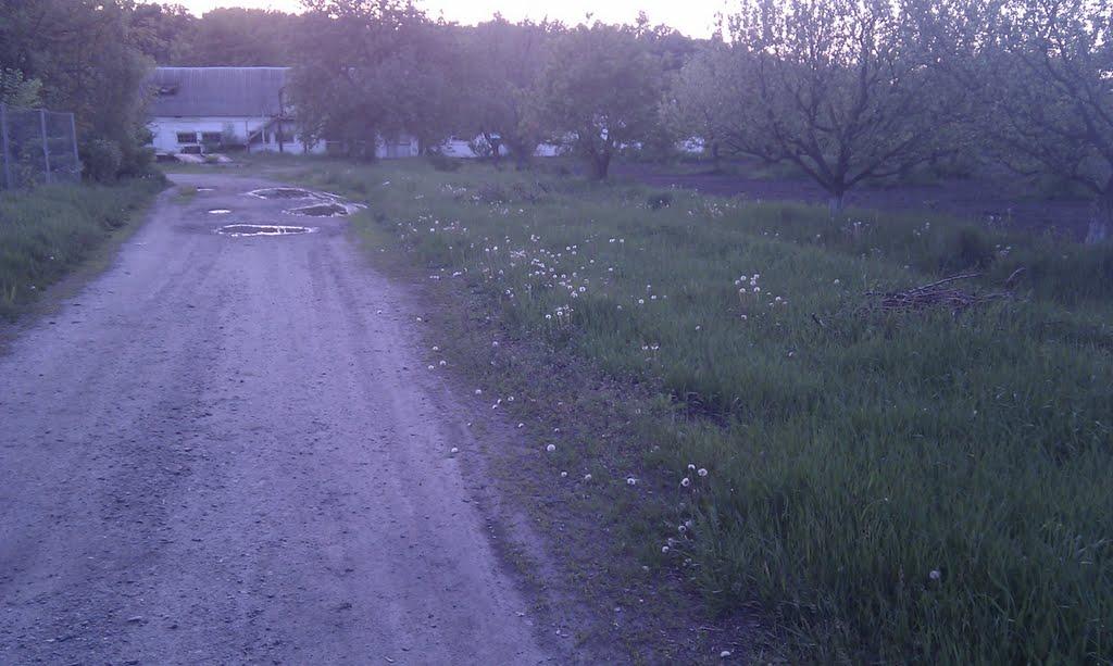 Глибочка з panoramio.com - Глибочка