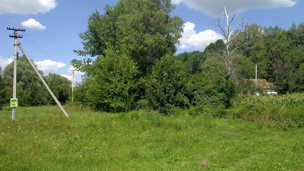 Харсіки з panoramio.com - Харсіки