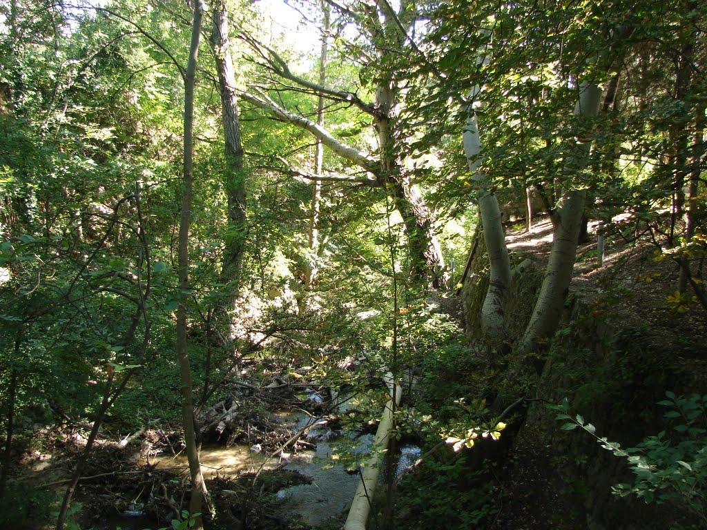 Кореїз з panoramio.com (ч.2) - Кореїз