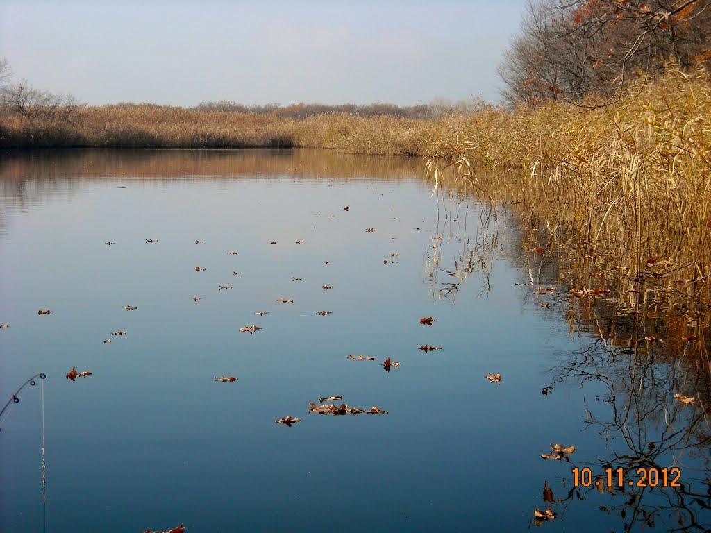 Новомосковськ з panoramio.com (ч.3) - Новомосковськ