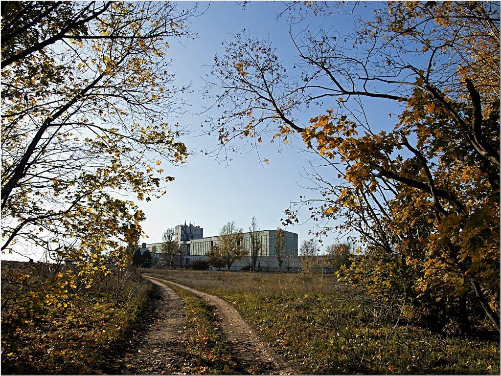 Павлопілля з panoramio.com - Павлополье