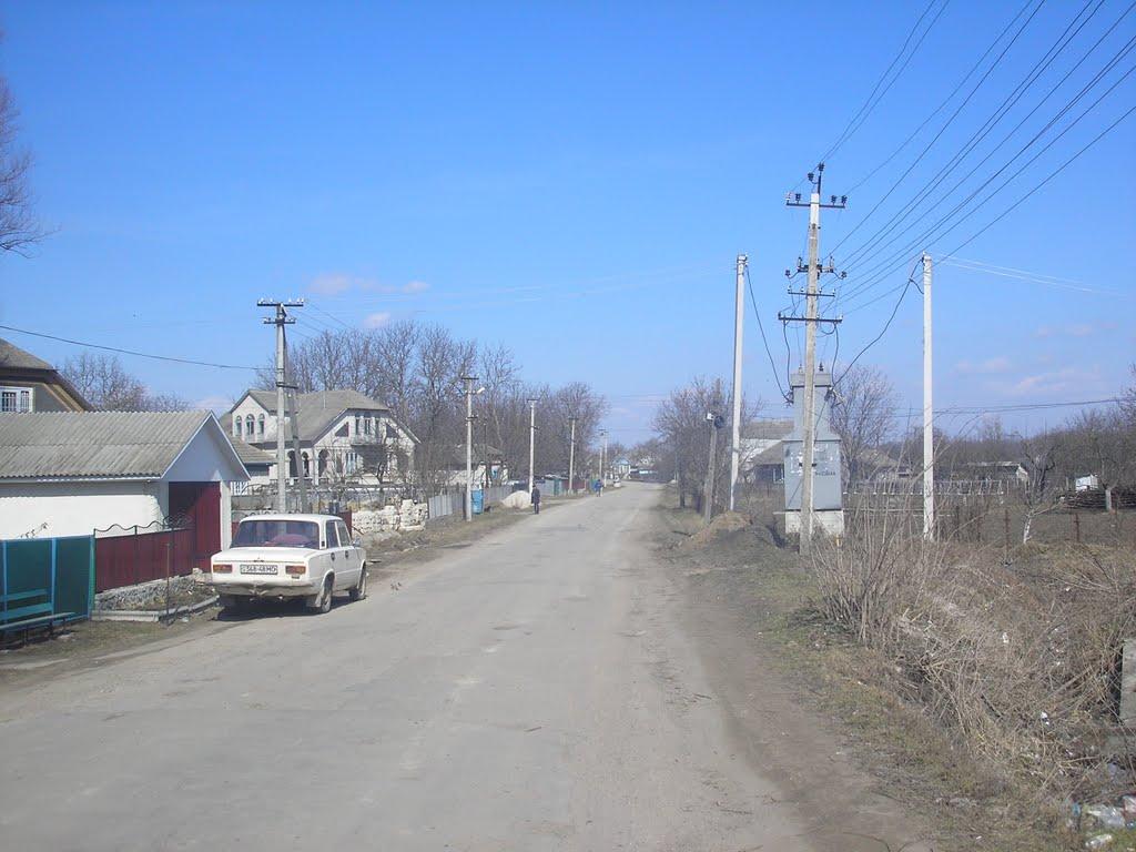 Романківці з panoramio.com - Романківці