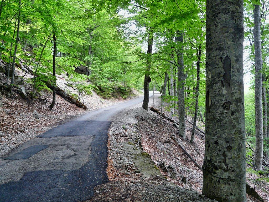 Гурзуф з panoramio.com (ч.3) - Gurzuf