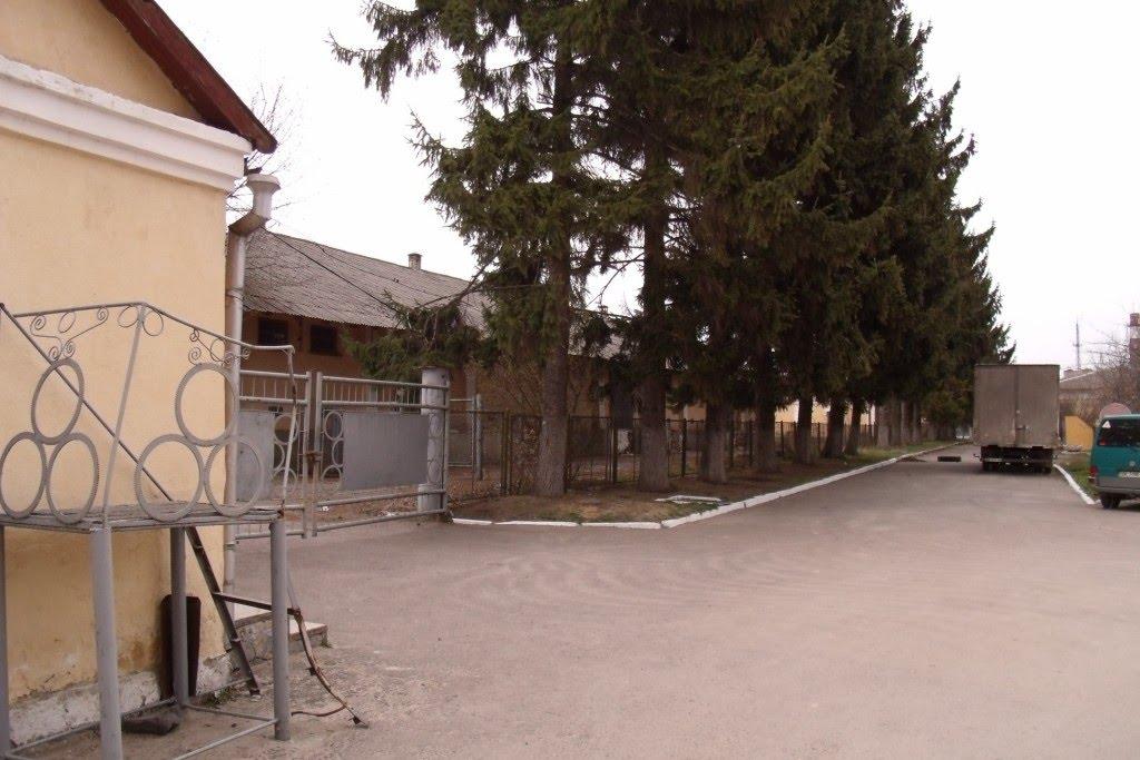 Рівне з panoramio.com (ч.5) - Ровно