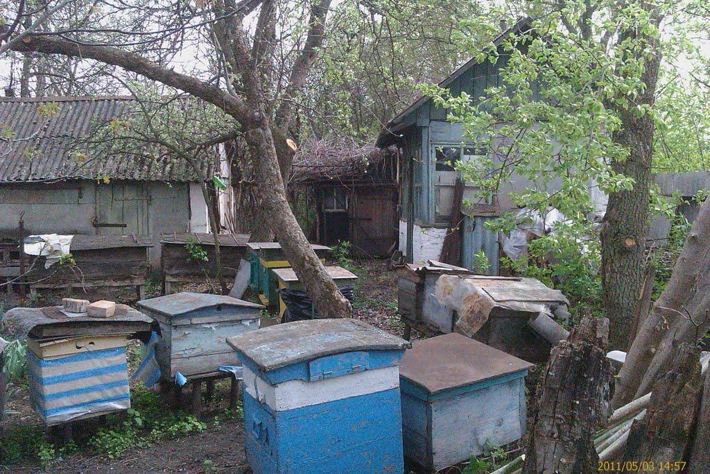 В'язове з panoramio.com - В'язове