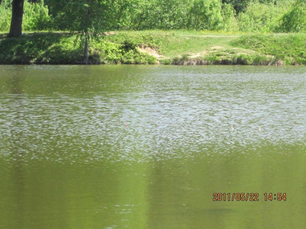 Панка з panoramio.com - Панка